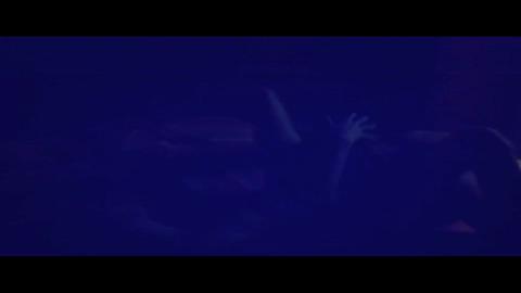 20047