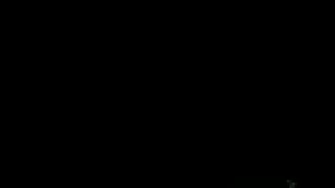 12091