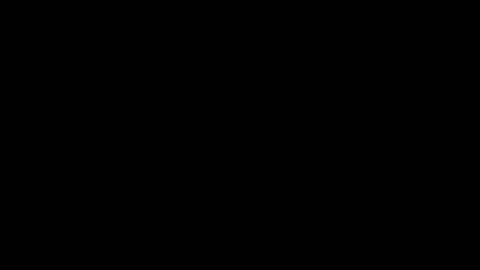 13054