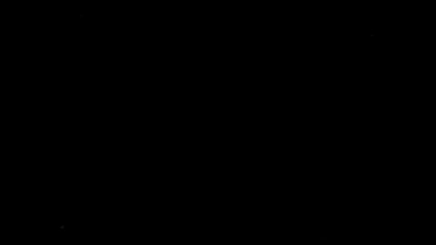 20003